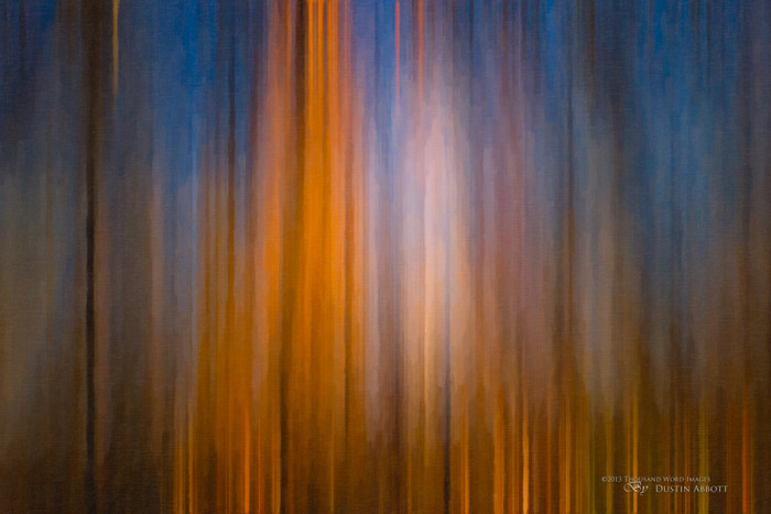 038 Autumn Abstract Final