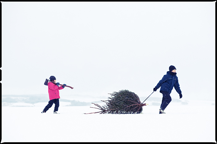 Nostalgia for Snow: A Climate Change Photography Project. Boy and girl dragging a Christmas tree home from the forest