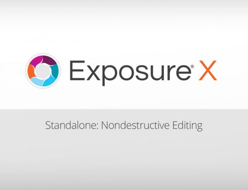 Exposure X Sneak Peek: Catalog Free