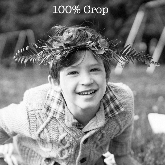 ASE Kodak T-Max 400 100% crop
