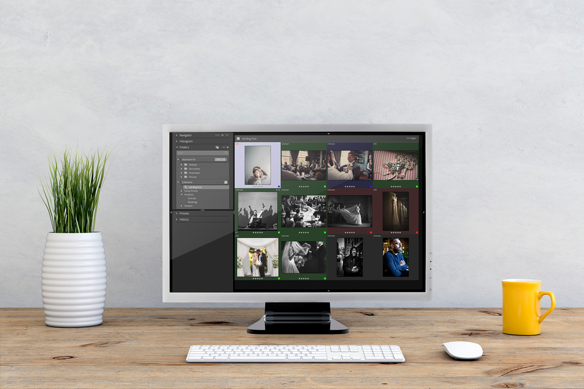 Easy Photo Management with Collections in Exposure X3