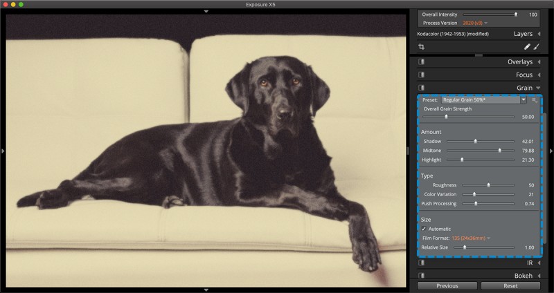 Grain Panel User Guide - Exposure Software