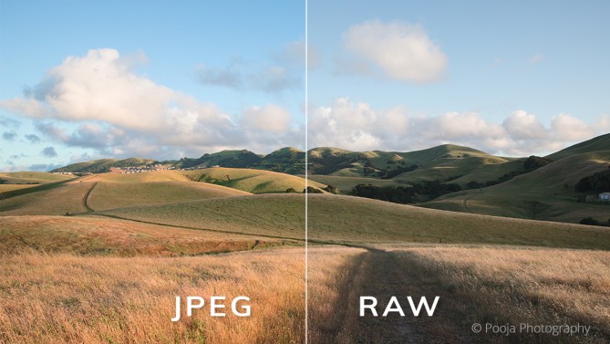 Comparing JPEG and RAW - Exposure Software