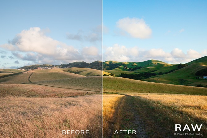 Raw Photo With Less Color Comparing JPEG and RAW - Exposure Software